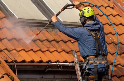 Démoussage et hydrofuge de toiture à Vimines
